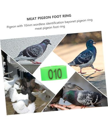 Kisangel 300 Pcs Pigeon Anklet Tag Where Pigeon Identification Ring Pigeons Leg Ring Baby Chicken 1.3X1.3CMx3pcs Greenx3pcs - Buy Online on SooperMarket.com