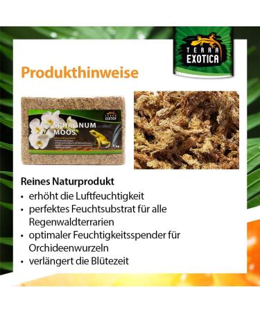 Buy Terra Exotica Sphagnum Moss (3x1 Kg) - Premium Peat Moss for Garden Houseplants & Terrariums - International Shipping Available - Buy Online on SooperMarket.com