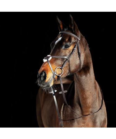 HORZE Prescott Figure 8 Bridle - Brown, Horse Size - Buy Online on SooperMarket.com
