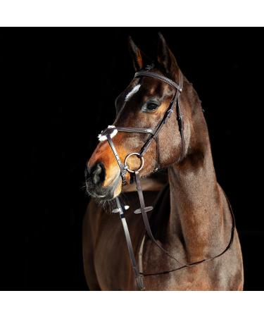 HORZE Prescott Figure 8 Bridle Brown Horse