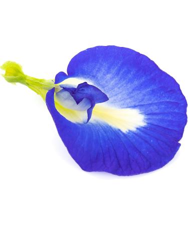 Blue Pea Flower Tea whole Loose flowers 30grams delicate and Colourful Herbal Tea - Buy Online on SooperMarket.com