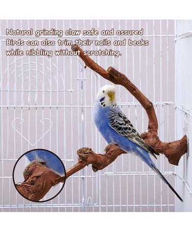 Kathson Parrot Perch Stand - Natural Wild Grape Paw Grinding Pole for Parakeet, Cockatiels, Budgies, Conure, Lovebirds | Bird Cage Accessories - Buy Online on SooperMarket.com