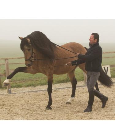 Ireland Rambo Micklem Competition Bridle - Black Large Horse - Premium Equestrian Gear for Global Shipping - Buy Online on SooperMarket.com
