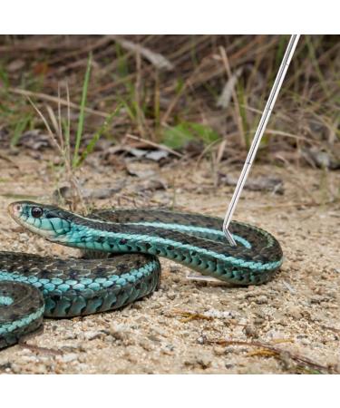 Youding Snake Tongs Professional Snake Pole | Snake Trap Maintain A Safer Distance Reptiles Catching Tool Length 6.30-26.78in for Catching Playing Snakes - Buy Online on SooperMarket.com