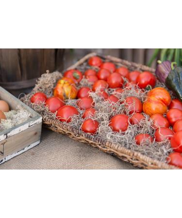 Preserved Natural Spanish Moss - 8oz (200 cubic inches) Bag - Buy Online on SooperMarket.com