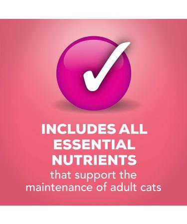 Purina Friskies Extra Gravy Salmon Pate Wet Cat Food 5.5 oz. Cans (Pack of 24) - Buy Online on SooperMarket.com