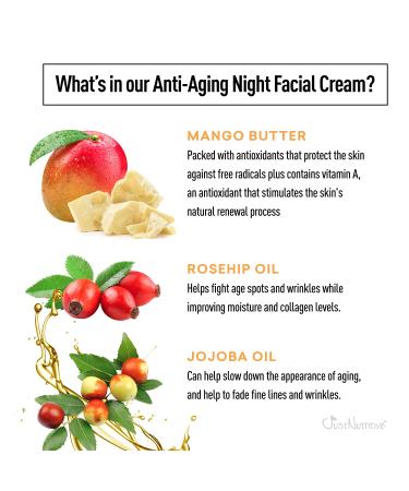 Just Nutritive Anti-Aging Night Facial Cream | Best Night Cream for Wrinkle Reduction | 2oz Anti Aging Skin Care for Youthful Skin - Buy Online on SooperMarket.com