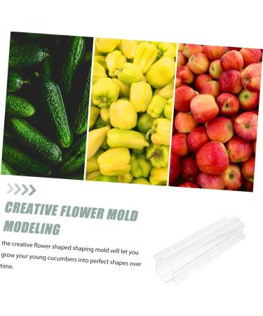 SUPVOX Fruit Shaping Accessories 4 Pcs Fruit and Vegetable Shaping Modeling Nursery Plant Tools - Buy Online on SooperMarket.com