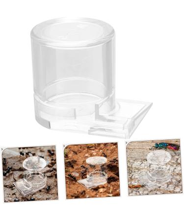 Parliky Pet Water Feeder Ant Feeder Station Ant Bottle Feeder Ant Nest Water Feeder Transparent Plastic - Buy Online on SooperMarket.com