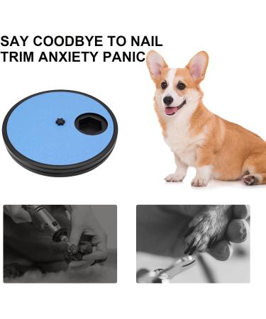 Beowanzk Multifunctional Dog Nail Scratchboard with 6-Compartment Food Storage - Blue - Buy Online on SooperMarket.com