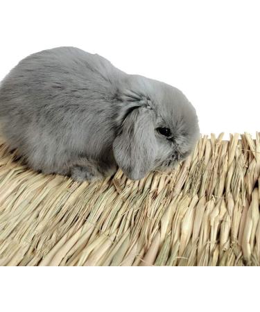 REFURBISHHOUSEÂ Rabbit Mat Grass Mats For Rabbits Safe & Edible Rabbit Mats For Cages Bunny Chew Toys For Rabbits - Buy Online on SooperMarket.com