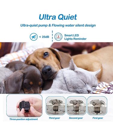 JJYPET 84oz/2.5L Stainless Steel Cat and Dog Water Fountain with Ultra-Quiet Pump and Filters for Multiple Pets - Buy Online on SooperMarket.com