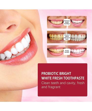 Yayashi SP-4 Probiotic Toothpaste | Natural Tooth Whitener & Brightening Cloam Paste for Fresh Breath | Complete Tooth Care & Spot Removal - Buy Online on SooperMarket.com