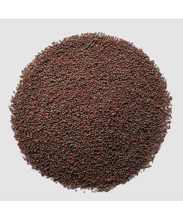 Roohts Black Mustard Seeds | 150g | Organic | 100% Natural | Vegan | Premium Quality | Flavour | Spice | Aroma | Seeds | Cooking | Whole Spices