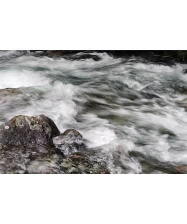 Cokin P-Series ND2 (0.3) Neutral Grey Filter - Reduce Light for Better Photography - Buy Online on SooperMarket.com