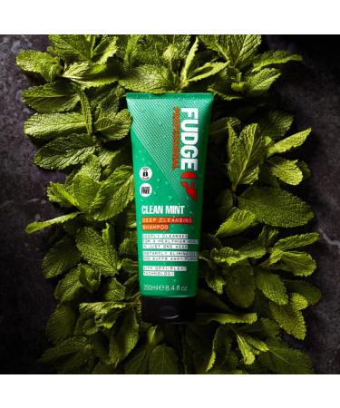 Fudge Clean Mint Shampoo - Refreshing Hair Cleanser for All Hair Types | Free International Shipping - Buy Online on SooperMarket.com