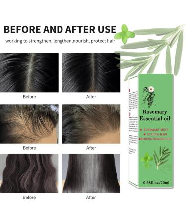 Trendyfave Rosemary Oil For Hair Growth Nourishes Hair Care Essential Oil Anti Frizz Hair Serum Ginger Hair Oil for Dry Damaged Hair | Repairs Smoothens Revitalizes Your Hair - for All Hair Types - Buy Online on SooperMarket.com