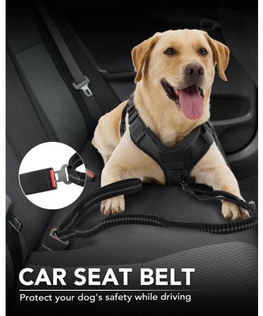 Joytale Tactical Dog Lead | Heavy Duty 1.2-1.8m Shock Absorbing Bungee Lead | 2 Handle Metal Carabiner | Car Seatbelt Strong No Pull Lead for Medium Large X-Large Dogs - Black - Buy Online on SooperMarket.com