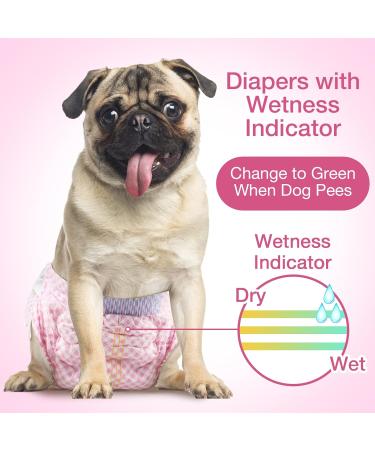 Buy Flying Paws Disposable Dog Diapers - Adjustable XS (20 Pack) for Dogs & Cats Perfect for Potty Training | International Shipping Available - Buy Online on SooperMarket.com