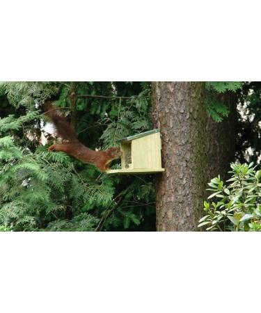 Squirrel Nut Feeder Zinc Roof Pinewood FSC 100% Wildlife Garden - Buy Online on SooperMarket.com