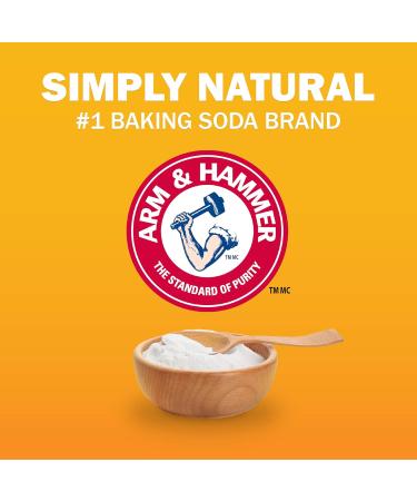 ARM & HAMMER Baking Soda For Cleaning and Deodorizing 4.89-kg Resealable Bag 4.9 kg (Pack of 1) - Buy Online on SooperMarket.com