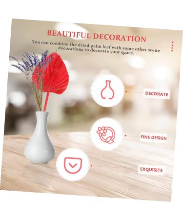 Alipis Simulated Cattail Fan Wedding Layout Palm Leaf Dried Palm Spears Home D cor Vase Art Ornament Faux Plant Italian Ruscus Woven Hand Held Fan Decor Fans Palm Leaves Hamster Monstera Red 50x28cm - Buy Online on SooperMarket.com