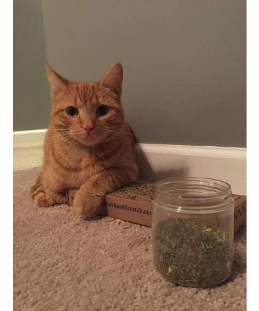 Maximum Potency Organic Catnip Blend - Premium Cat Weed for Crazy Cat Play - 1 Cup - Buy Online on SooperMarket.com