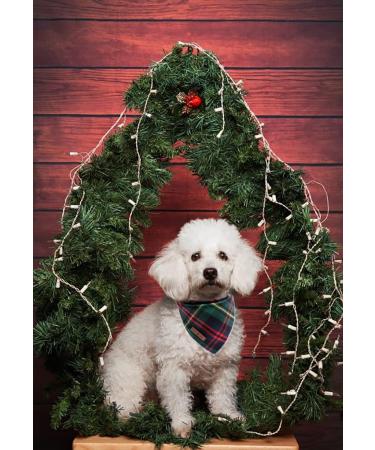 Lionet Paws Christmas Bandana for Dogs | Headscarf & Trochcock for Small Medium & Large Dogs - 1 Pack - Gr nkelk - Buy Online on SooperMarket.com
