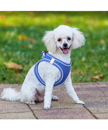Buy Heele Soft Dog Dishes & Adjustable Harness Vest - Royal Blue XS | Safe Reflective & Perfect for Walking Running & Training - Buy Online on SooperMarket.com