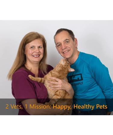 Veterinarian-Designed Large Purple Cat Puzzle Feeder Bowl for Enrichment and Activity - Buy Online on SooperMarket.com