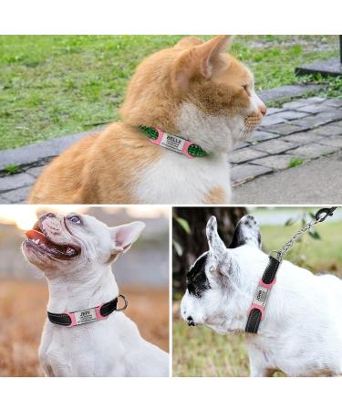 Personalized Pink Dog Tags - 2 Pack Engraved ID for Small & Medium Breeds | Tagme - Buy Online on SooperMarket.com