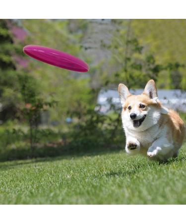 Liberty Imports 12 PCS 9-Inch Plastic Flying Discs Set for Outdoor Sports - Great for Kids & Adults - Buy Online on SooperMarket.com