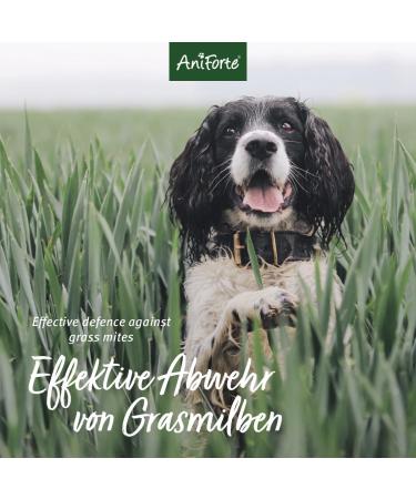 Aniforte Grasmilbel Ex Spray 500ml - Effective Grass Mite & Parasite Defense for Dogs | Soothes Itchy Skin - Buy Online on SooperMarket.com