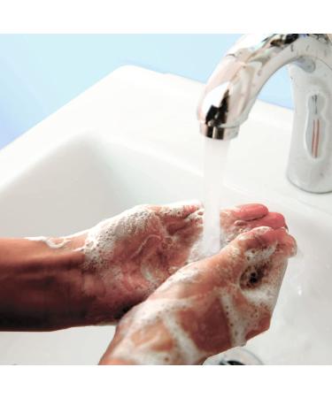 Dial Complete Antibacterial Foaming Hand Wash - Fresh Pear - 52 fl oz - Buy Online on SooperMarket.com