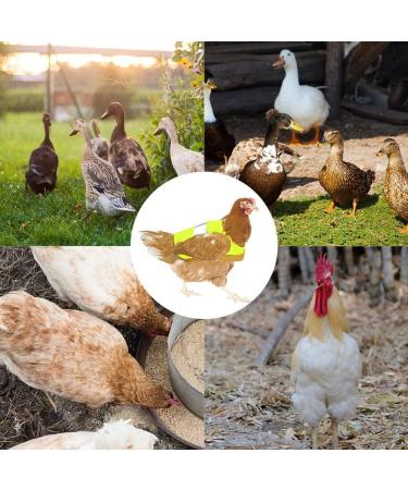 Dongker Waterproof Chicken Vest | Reflective & Adjustable Saddle for Hens & Ducks | Pet Protection Clothing - Buy Online on SooperMarket.com