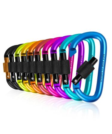 10 pieces of carabiner keychain with screw cap screw carabiner carabiner hook aluminum small load capacity up to 60kg carabiner for work fire brigade fitness camping travel everyday life