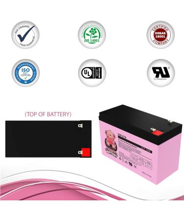 CB1270 12V 7AH Sealed Lead Acid Rechargeable Battery for Security Fire Alarms - International Shipping Available - Buy Online on SooperMarket.com
