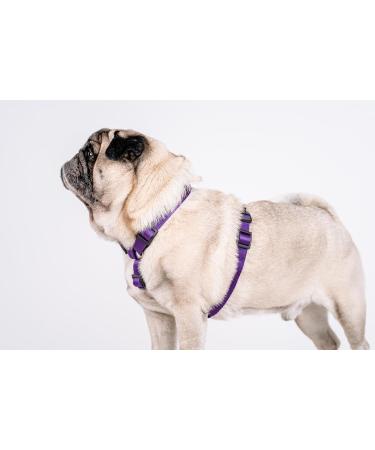 CHABA Adjustable Dog Harness for Large Dogs - Anti-Choking & Control - Lightweight Step-In Design - Perfect for Running - XL Violet - Buy Online on SooperMarket.com