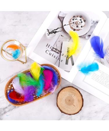Coceca 300pcs Colorful Feathers for DIY Craft, Wedding, and Party Decor - Buy Online on SooperMarket.com