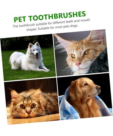 HAPINARY 1 Set Pet Toothbrush Pet Mouth Cleaning Tool Pet Dog Toothbrush Cat Toothpaste Tools Pets Pp - Buy Online on SooperMarket.com