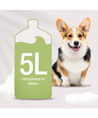 WAHL Shampoo for Pets - Jet Black 5L | Premium Pet Care International Shipping - Buy Online on SooperMarket.com