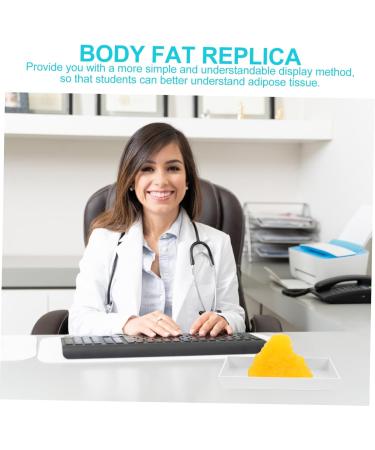 Baluue Fat 1lb Fat Model Manikin Mannequins Body Fat Anatomy Fat Replica with Display Base Fitness Tool Human Body - Buy Online on SooperMarket.com