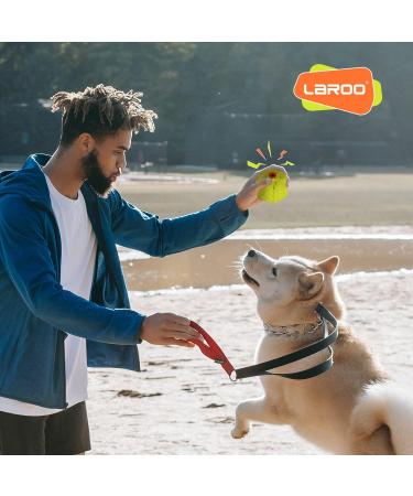 Laroo Durable Natural Rubber Dog Ball | Squeaker Toy for Small & Large Dogs | 9cm Green Dog Football - Buy Online on SooperMarket.com