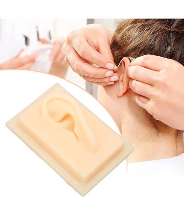 Silicone Ear Model Vivid Shape Durable Wearable Comfortable Soft Human Ear Model Glossy Texture Safe Practical for Teaching Demonstration(Left) - Buy Online on SooperMarket.com