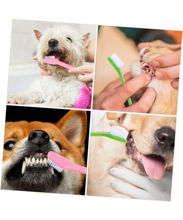 Yardwe 60 Pcs Double Head Dog Toothbrush Dog Teeth Cleaning Toothbrushes Cat Toothbrush and Toothpaste Pp - Buy Online on SooperMarket.com