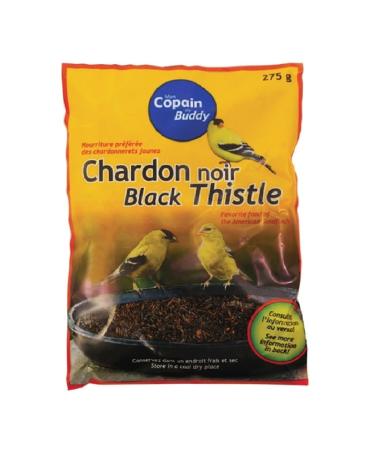 Black Thistle Seeds