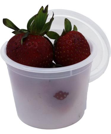 Vito's famous Deli Container with Lid 4 Ounce (Pack 50)