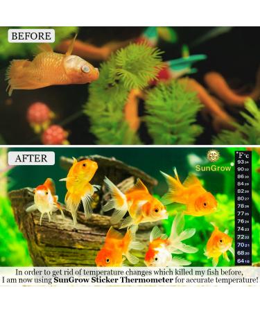 SunGrow Aquarium Sticker Thermometer - Precise Temperature Measurement for Fish, Shrimps & Turtles - Easy Peel & Stick Installation - 2 Color Indicators - Buy Online on SooperMarket.com