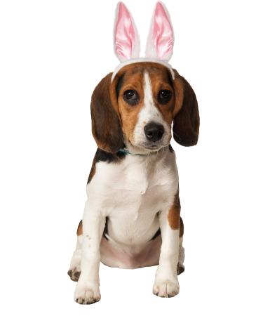 Rubie's Bunny Ears for Your Pet, Medium/Large, White Pink White Pink Medium/Large