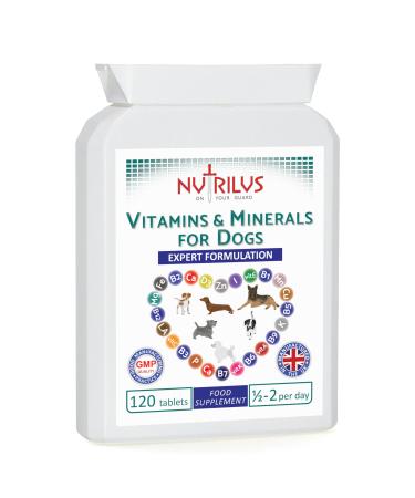 Vitamins and Minerals for Dogs - 120 Chewable Chicken Flavour Tablets - 24 Vitamins Microelements and Omega 6 - Skin Fur Heart Bones Brain Energy